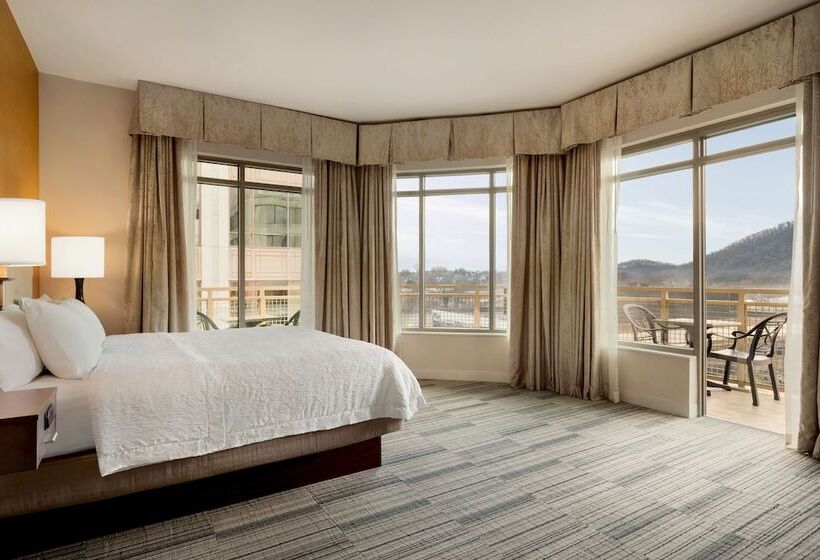 إستوديو قياسى سرير مزدوج, Hampton Inn & Suites Roanokedowntown