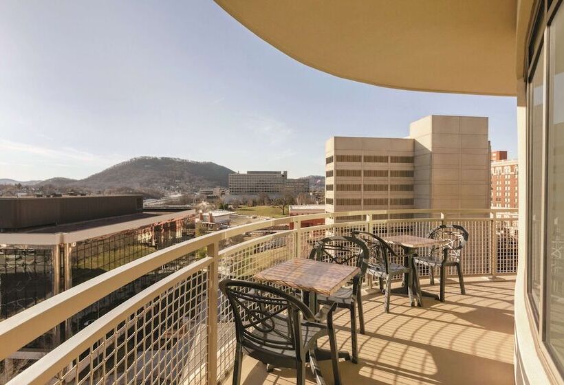 إستوديو قياسى سرير مزدوج, Hampton Inn & Suites Roanokedowntown
