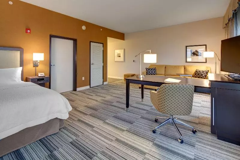 キングサイドベッドのスタンダードワンルーム, Hampton Inn & Suites Roanokedowntown