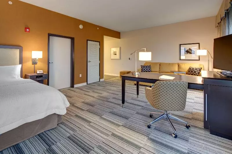 キングサイドベッドのスタンダードワンルーム, Hampton Inn & Suites Roanokedowntown