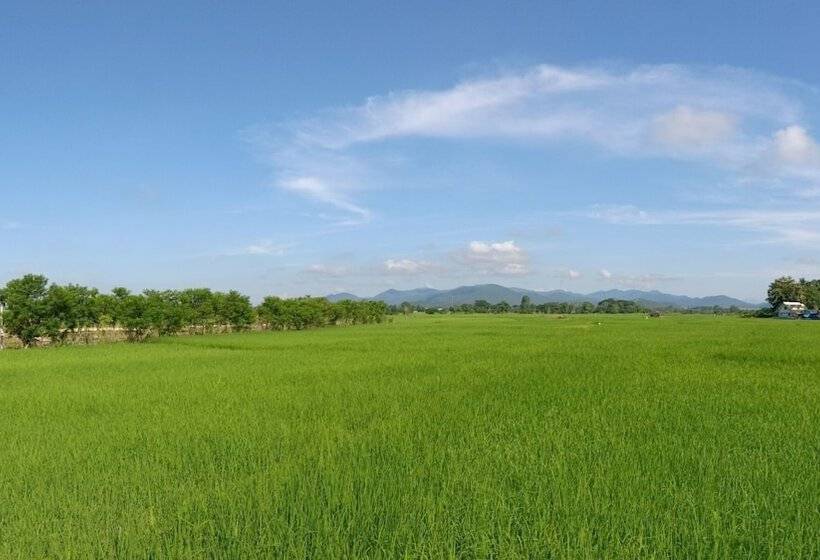 デラックスルーム, Him Doi House