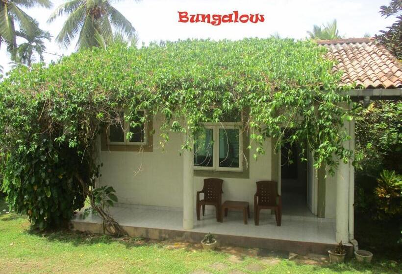 스탠다드 방갈로, Raja Beach