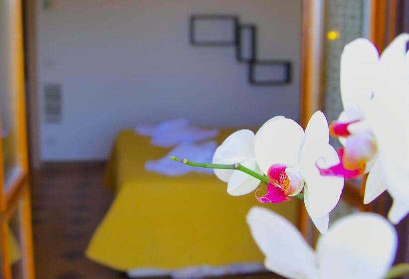 四人标准间, Casa Pendola