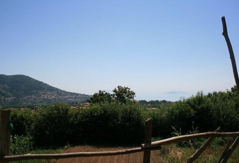 标准三人间, Casa Pendola