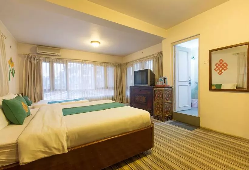 سوییت جونیور, Bouddha Green