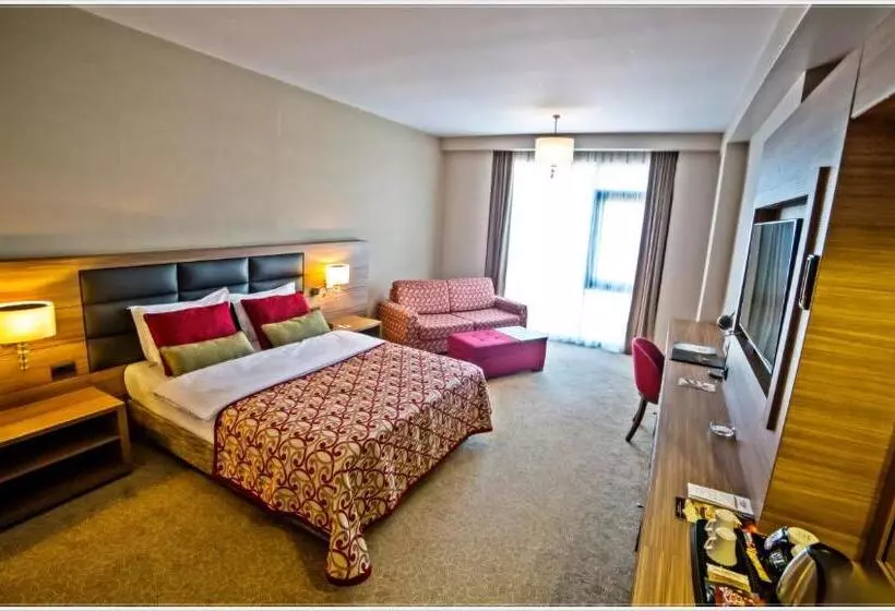 اتاق استاندارد, Grand Asya