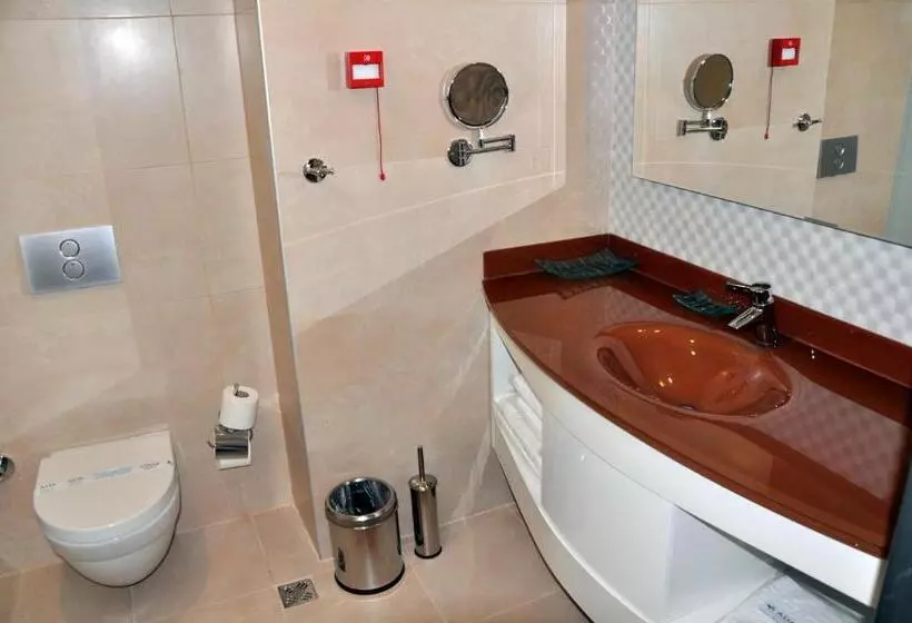 اتاق استاندارد, Grand Asya