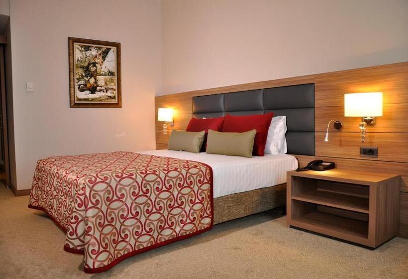 غرفة قياسية, Grand Asya