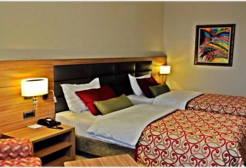 اتاق اکونومی, Grand Asya