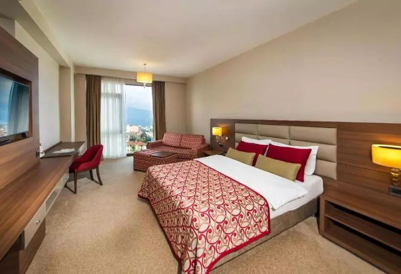 اتاق استاندارد با چشمانداز دریا, Grand Asya