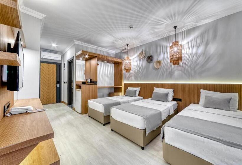 스탠다드 트리플 룸, Hildegard