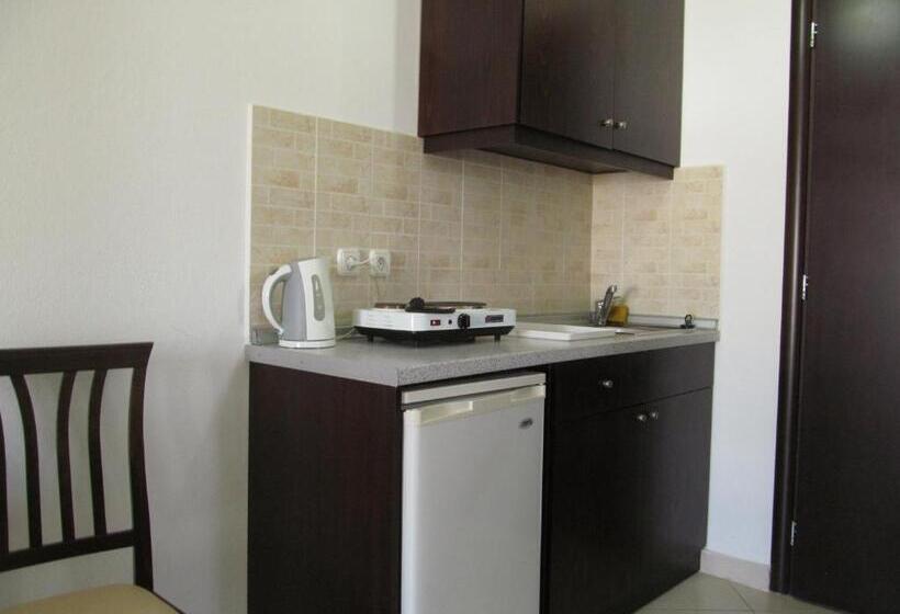 スタンダードスタジオ, Rio