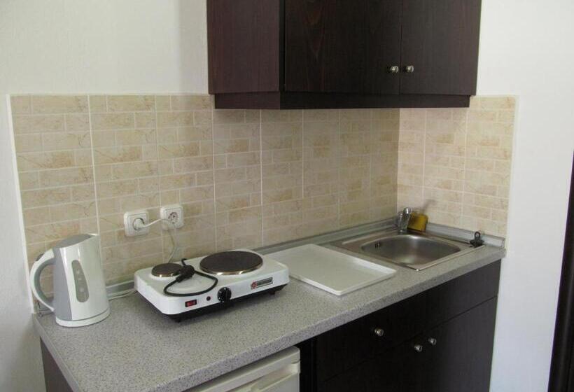 スタンダードスタジオ, Rio