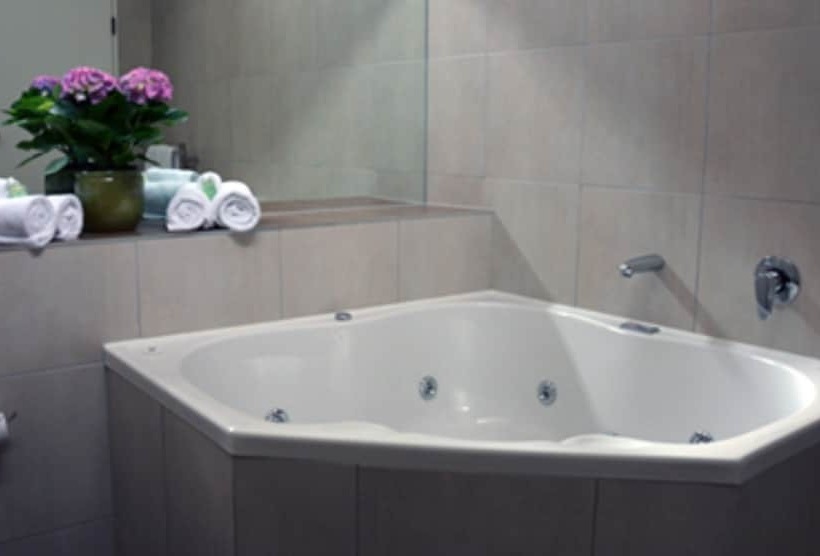 行政套房, Kiwi Studios Motel