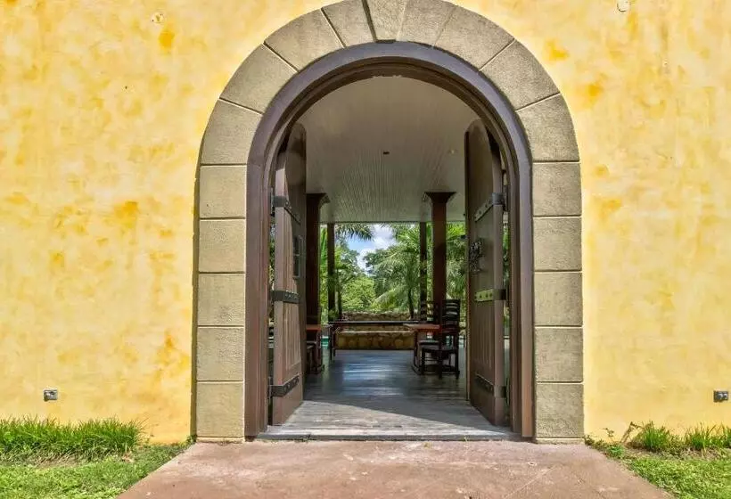 スイート, Toucan Suite @ Mahogany Hall
