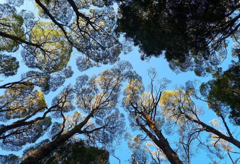 דירת שני חדרים, Big4 Strahan Holiday Retreat