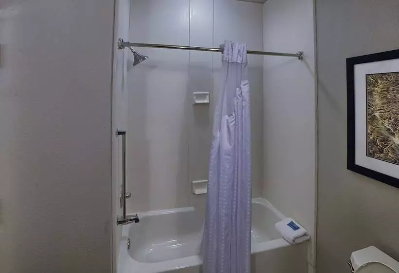 身障者適用スイートルーム, Holiday Inn Express Hotel & Suites Pell City By Ihg