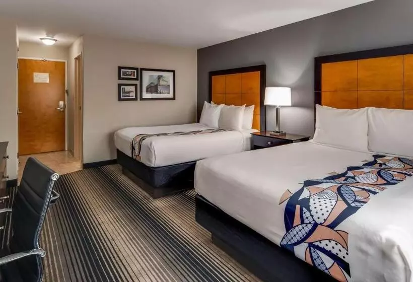 スタンダードルーム, Best Western Plus Hyde Park Chicago