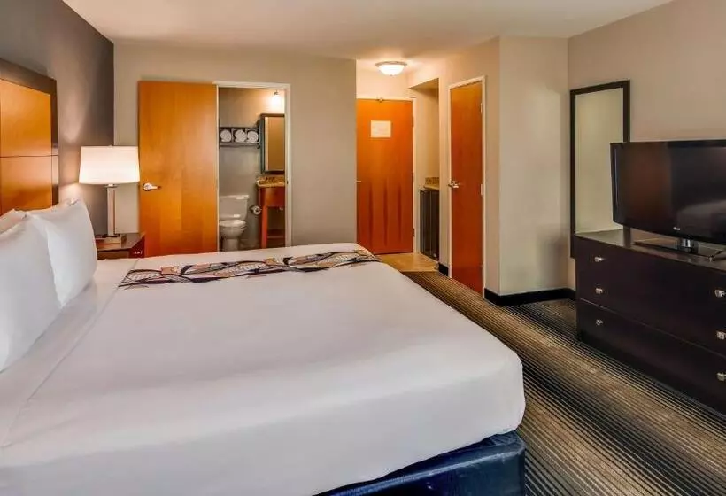 キングサイズベッドのスタンダードルーム, Best Western Plus Hyde Park Chicago