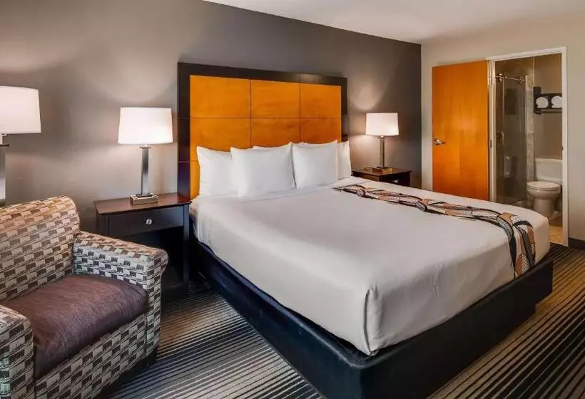 キングサイズベッドのスタンダードルーム, Best Western Plus Hyde Park Chicago