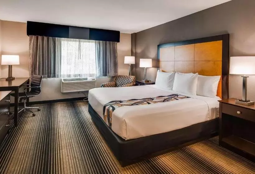 キングサイズベッドのスタンダードルーム, Best Western Plus Hyde Park Chicago