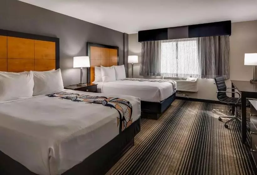 レイクビュースタンダードルーム, Best Western Plus Hyde Park Chicago