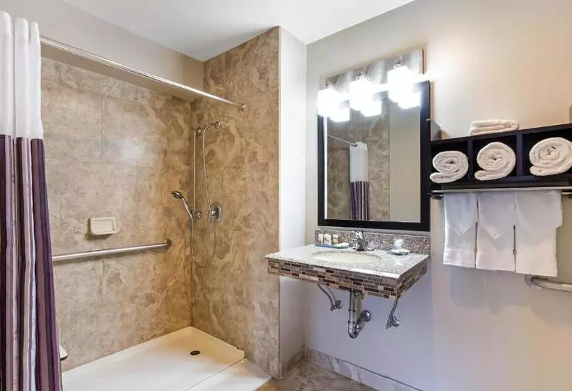 身障者適用キングサイズベッドルーム, Best Western Plus Hyde Park Chicago