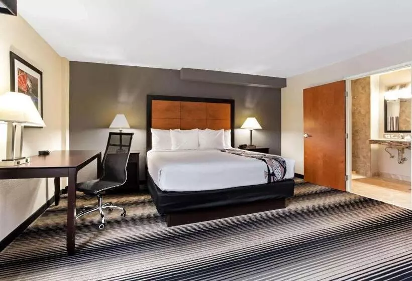 身障者適用キングサイズベッドルーム, Best Western Plus Hyde Park Chicago