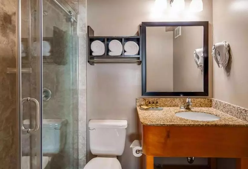 キングサイズベッドのスイートルーム, Best Western Plus Hyde Park Chicago
