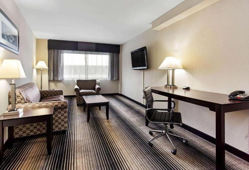 מיטת קינג בסוויטה, Best Western Plus Hyde Park Chicago