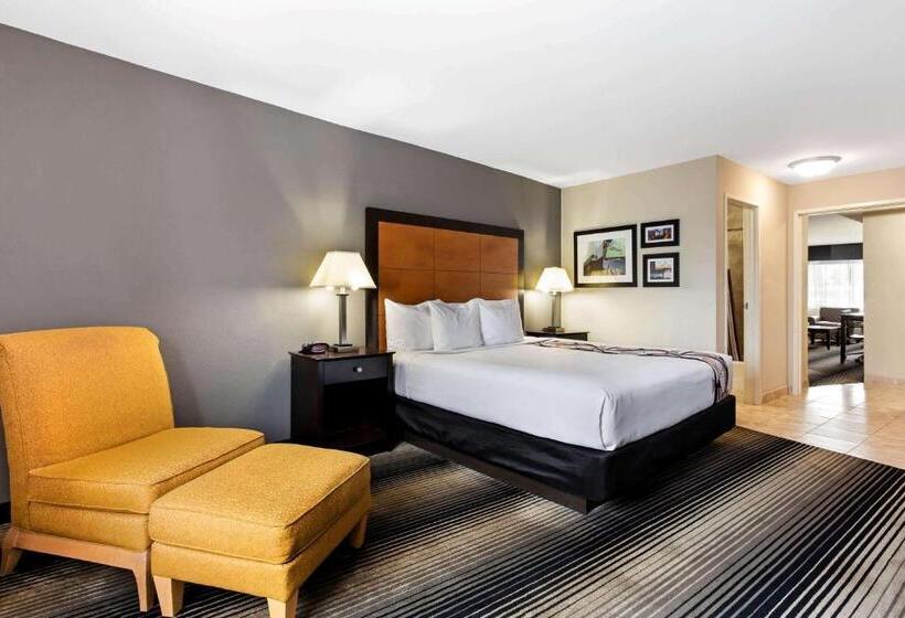 스위트 킹사이즈 침대, Best Western Plus Hyde Park Chicago