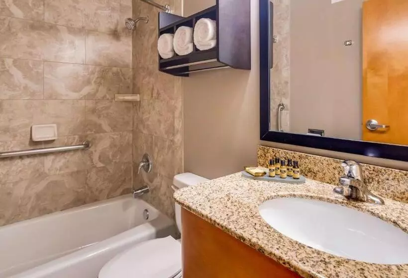 スイート, Best Western Plus Hyde Park Chicago