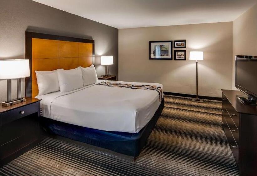 Номер Executive Кровать Кинг, Best Western Plus Hyde Park Chicago