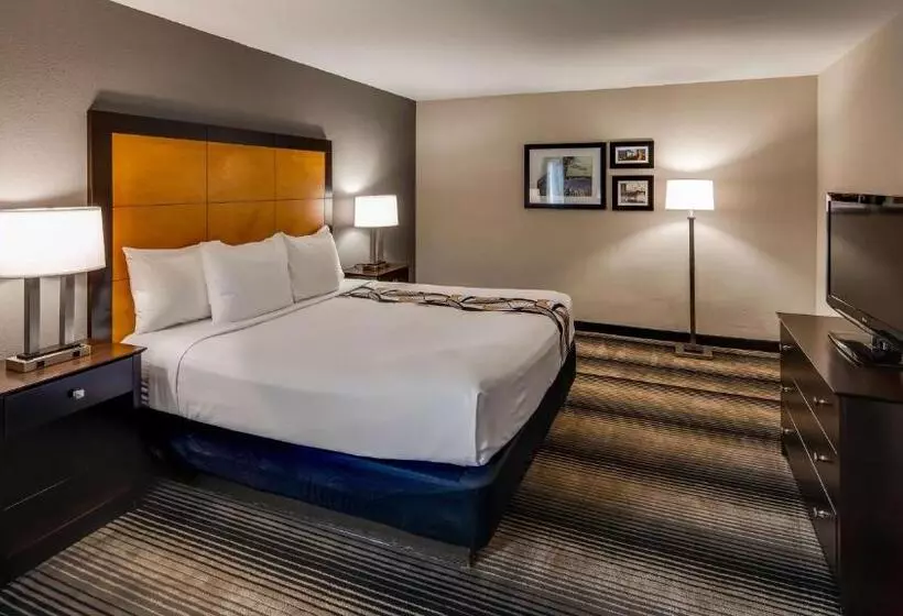 キングサイズベッドのエクゼクティブルーム, Best Western Plus Hyde Park Chicago