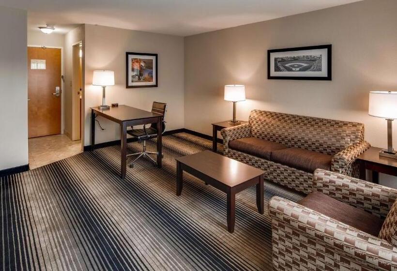 キングサイズベッドのエクゼクティブルーム, Best Western Plus Hyde Park Chicago