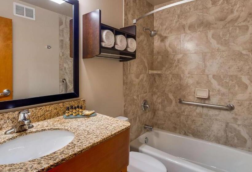이그제큐티브 룸, Best Western Plus Hyde Park Chicago