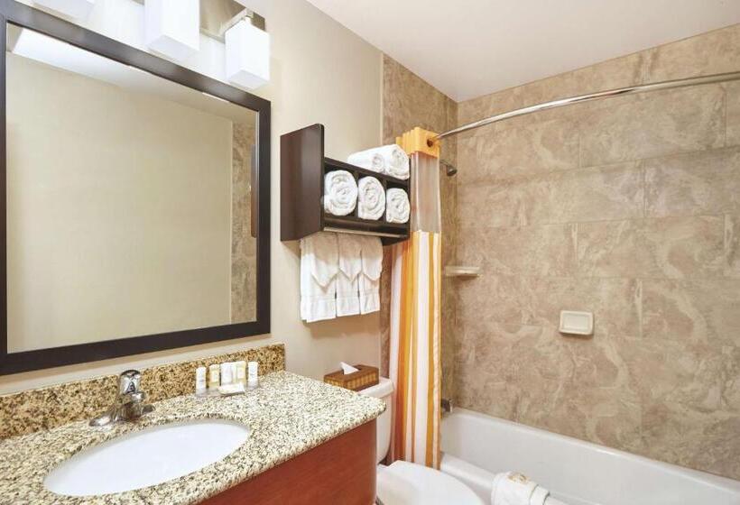 Номер Стандарт, Best Western Plus Hyde Park Chicago