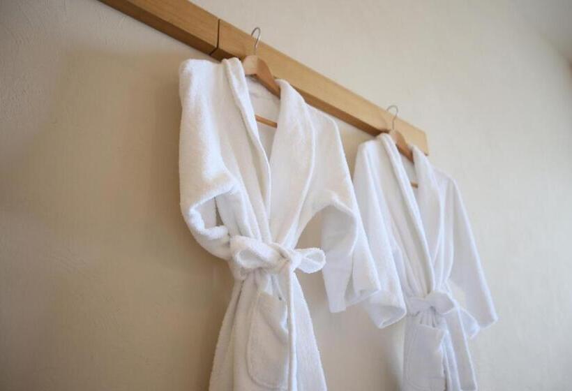 디럭스 룸, Ishigakijima Hotel Cucule