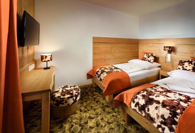 غرفة قياسية, Srdiečko