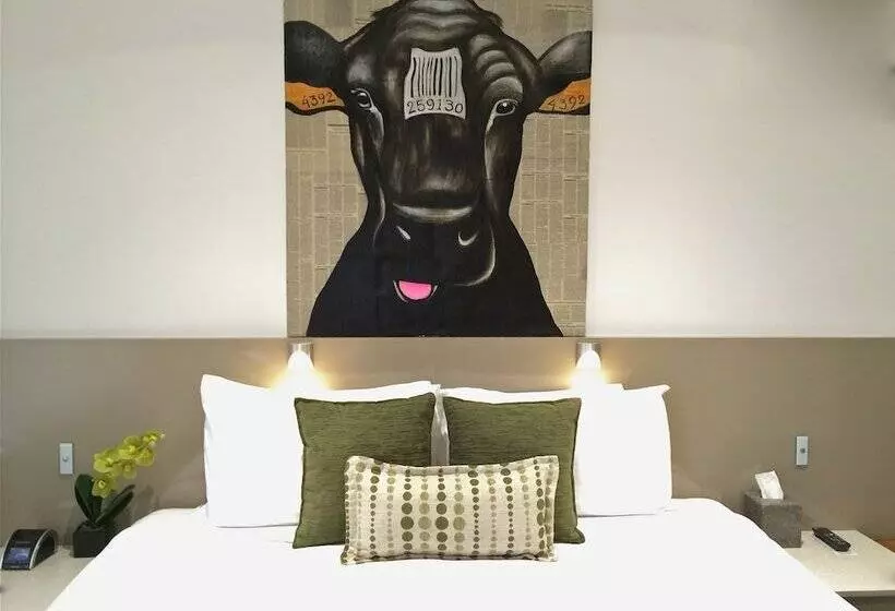 Standard-studio, North Adelaide Boutique Stays Accommodation