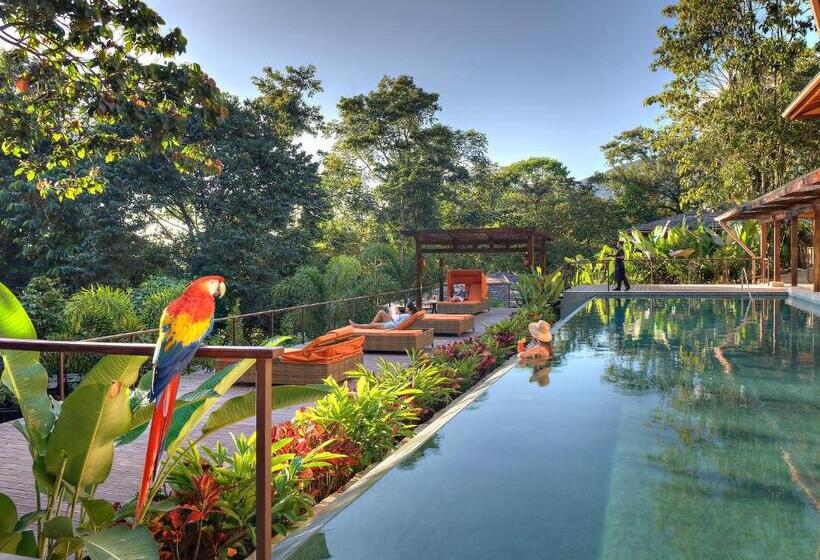 带1个卧室的别墅, Nayara Springs  Adults Only