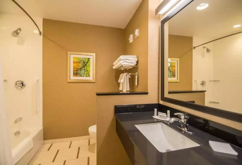 キングサイズベッドのスタンダードルーム, Fairfield Inn & Suites By Marriott Provo Orem