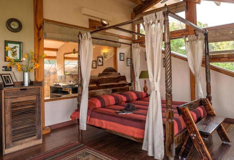 Suíte Deluxe, The Machan