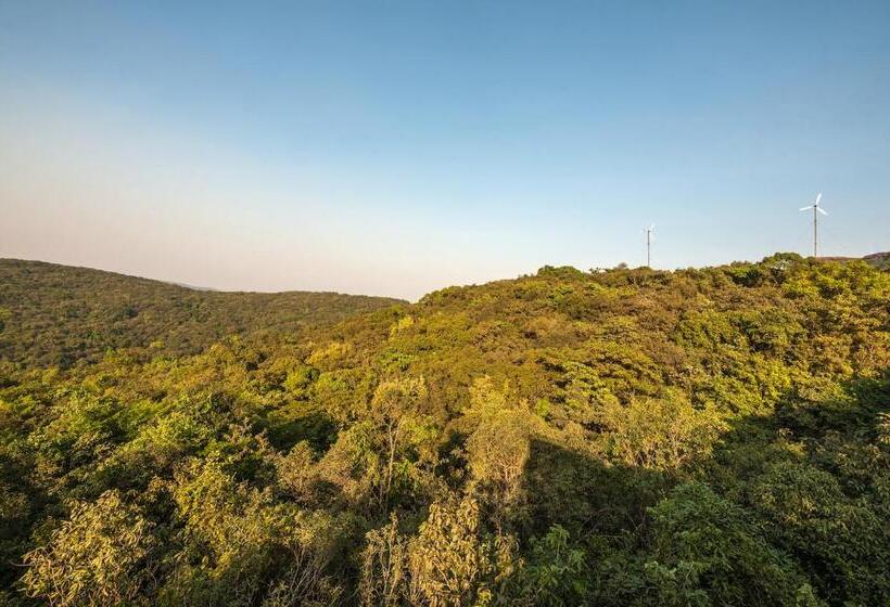 Suíte Deluxe Cama King, The Machan