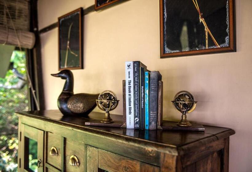 Suíte Familiar, The Machan