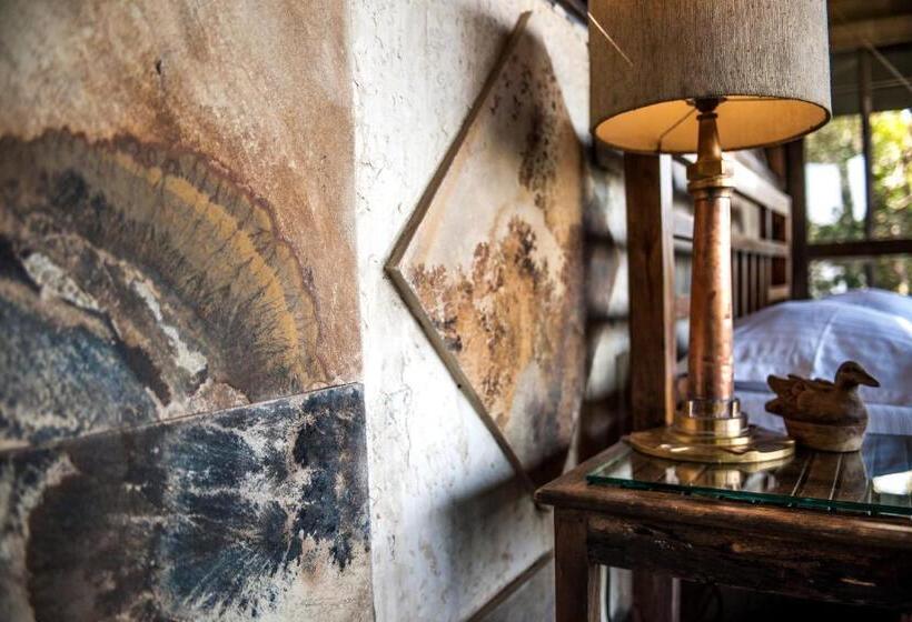 Suíte Familiar, The Machan