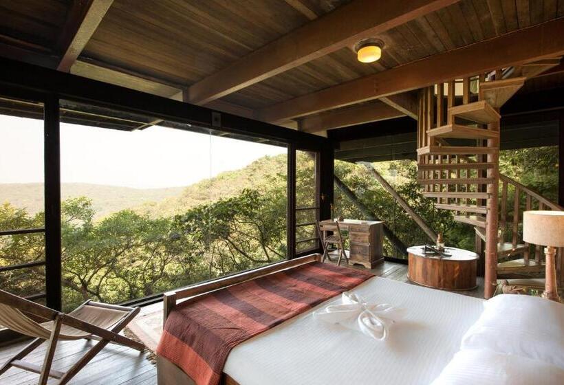 Suíte Familiar, The Machan