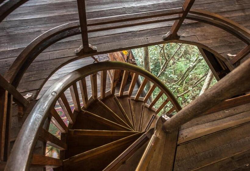 Suíte Familiar, The Machan