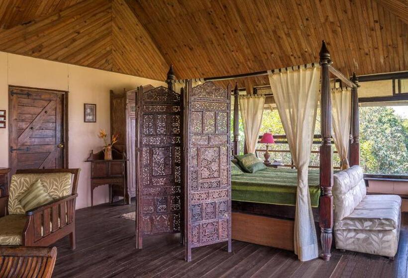 Suíte Familiar, The Machan