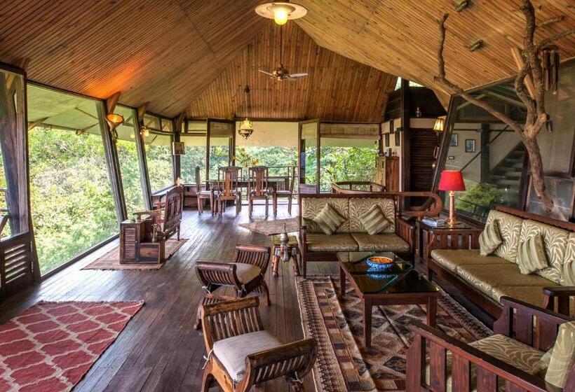 Suíte Familiar, The Machan